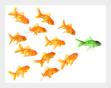 Law firm thought leadership: it’s not your budget that counts